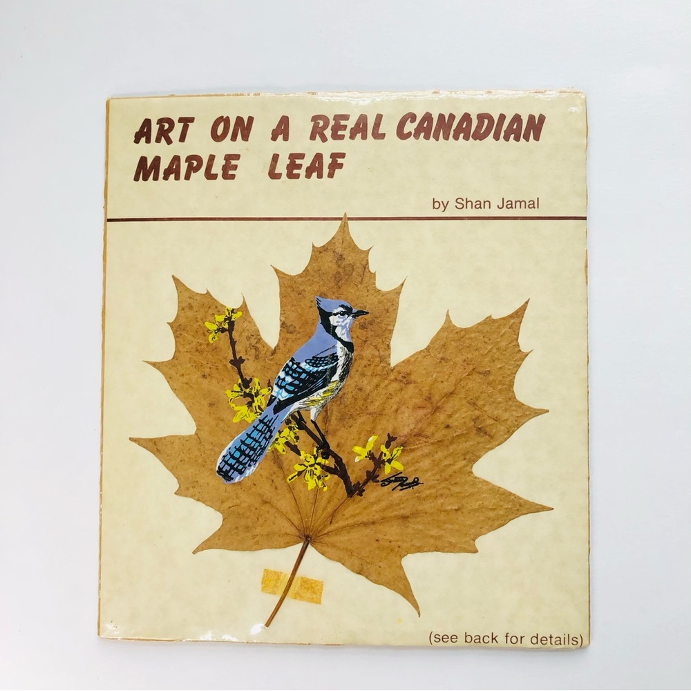 RARE Vintage Blue Jay Bird Canadian Maple Leaf Painting Art Signed By SHAN JAMAL